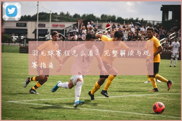 羽毛球赛程怎么看？完整解读与观赛指南